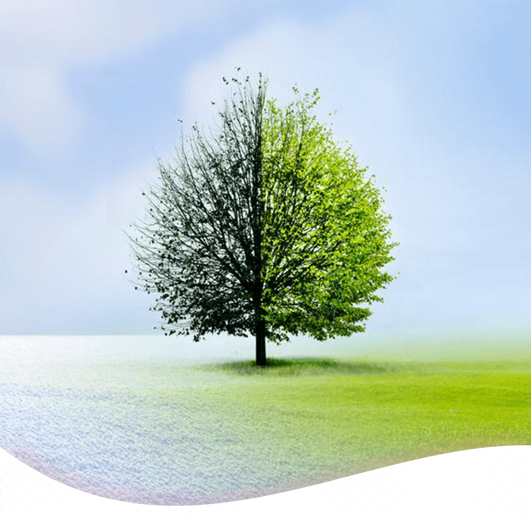 <h1>ÖNCESİ SONRASI</h1>